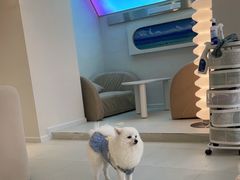 -怪兽屋·羊驼·猫咖·狗咖(俊华广场店)