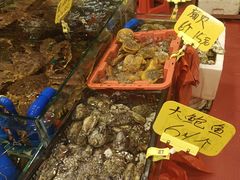 -厦门轮渡码头