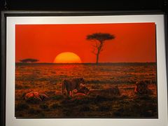 -罗红摄影艺术馆