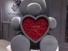 -ROSEONLY诺誓(广州K11店)