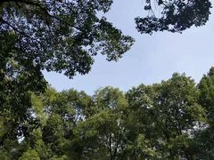 -石燕湖生态旅游景区