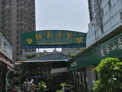 -曲阳花鸟市场(曲阳路店)