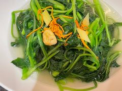 -湛江民大喜来登酒店-采悦轩中餐厅