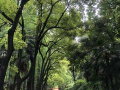 -采石矶景区