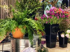 -PlantsEatery·植物食堂(REX春熙店)