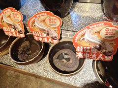 -印象鲵宴·张家界地标美食名片(溪布街店)