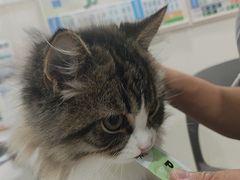 -佳雯宠物医院·皮肤科·内外科(春晓路分院)