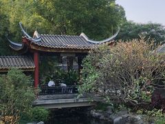 -顺峰山公园