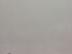 -老温州馄饨担(东游大厦店)