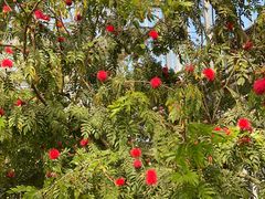 -南通洲际绿博园