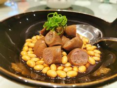 -常州环球恐龙城维景国际大酒店