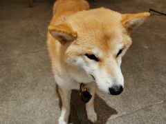 -三目仓咖啡(贤南路店)