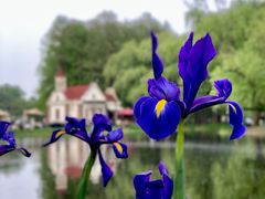 -上海共青森林公园