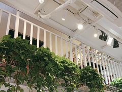 -大王油茶(二厂文创公园店)