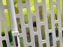 -美联众合动物医院(·中兽医·疑难杂症·严家桥分院)