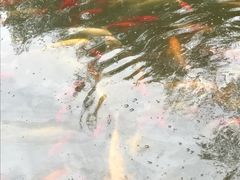 景点-月牙潭公园