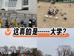 -上海大学(宝山校区)