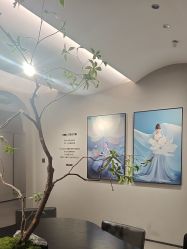 -大树儿童摄影