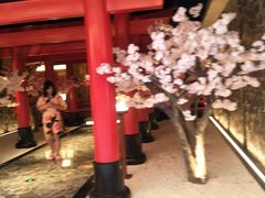 -蓝鲸湾汤泉(包河店)