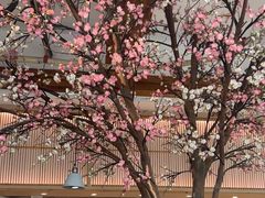 -蜜桃餐厅·伴山(湖滨商业街店)