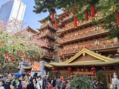 -越秀西湖花市(广州城市广场花卉店)