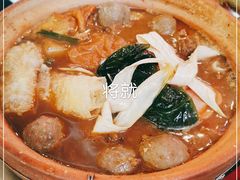 -沙胆彪炭炉牛杂煲(成都玉林店)