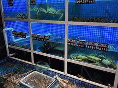 水产区-金龙·打边炉(南京西路店)