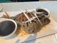 -桂园餐厅(五大道店)