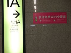 -大龙山(地铁站)