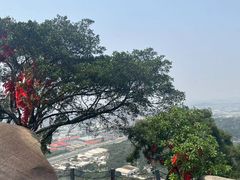 -云洞岩风景区