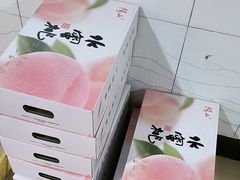 -老袁家蜜桃农场·阳山水蜜桃