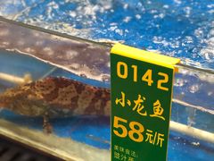 水产区-乡下人家大酒楼(大鳌溪店)