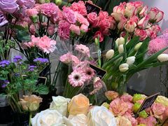 -植物学家的女儿(北马道巷店)