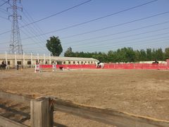 -北京群众马术培训基地