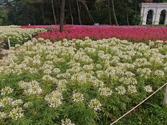 -沈阳植物园