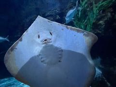 -郑州海洋馆