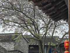 -扬州三头宴(东关街店)