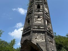 -上海佘山国家森林公园天马山园