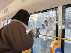 -栾川竹海野生动物园