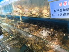 -仙螺岛海鲜自助餐厅(总店)