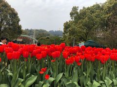 -南山植物园