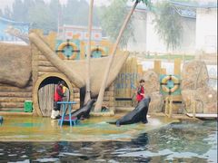 -秦皇岛乐岛海洋王国