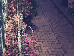莫奈花园法式甜点-莫奈花园法式蛋糕