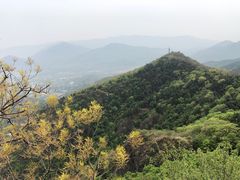 -北京鹫峰国家森林公园