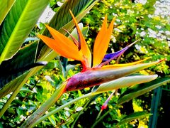 -国家植物园南园