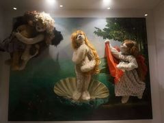 -济州岛泰迪熊博物馆