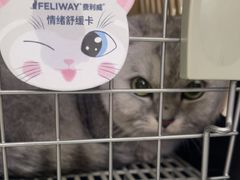 -瑞鹏宠物医院·宠保定点·心脏科·内科(御桥分院)