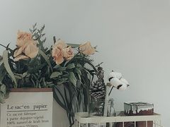-白日梦奶茶