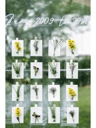 -花轿喜屋婚礼策划