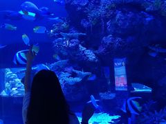 -成都浩海立方海洋公园